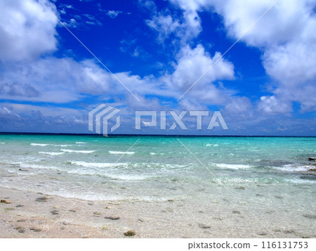 翡翠綠海 116131753
