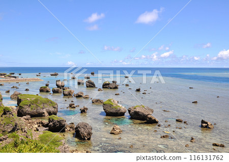 翡翠綠海 翡翠綠海 116131762