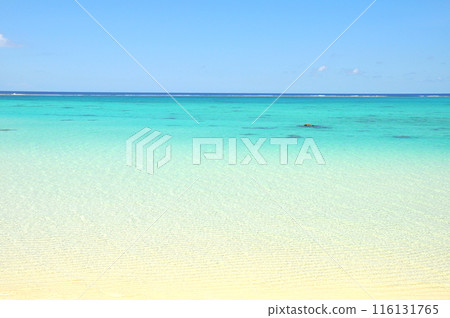 Emerald green sea Emerald green sea 116131765