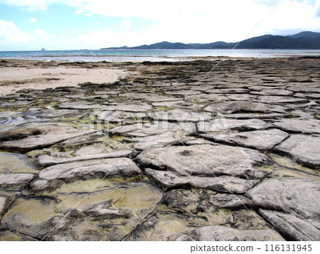 久米島町王島的榻榻米（龜石） 116131945