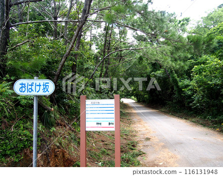 Kumejima Ghost Hill Kumejima Ghost Hill 116131948