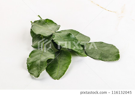 Aroma seasoning kaffir lime leaves Aroma seasoning kaffir lime leaves 116132045