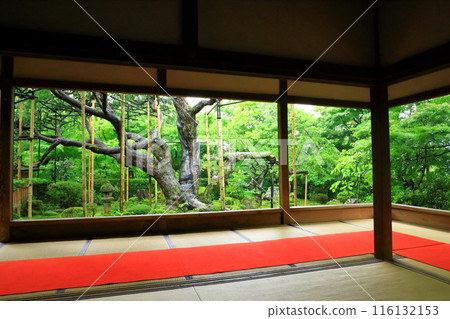 Kyoto Ohara Village Hosen-in Temple Picture Frame Garden 116132153