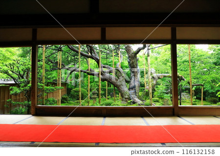 Kyoto Ohara Village Hosen-in Temple Picture Frame Garden Kyoto Ohara Village Hosen-in Temple Picture Frame Garden 116132158