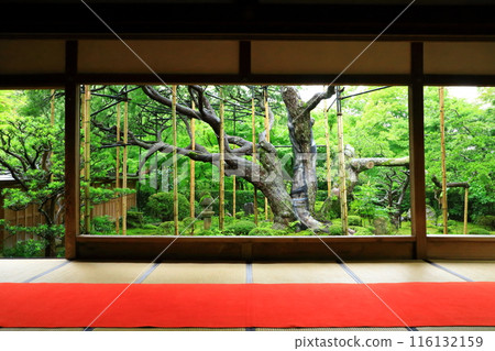 Kyoto Ohara Village Hosen-in Temple Picture Frame Garden 116132159