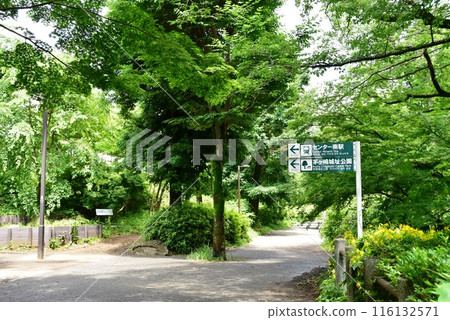 Yokohama City Tsuzuki Ward Chigasaki Park's greenway, fresh greenery and directions Yokohama City Tsuzuki Ward Chigasaki Park's greenway, fresh greenery and directions 116132571