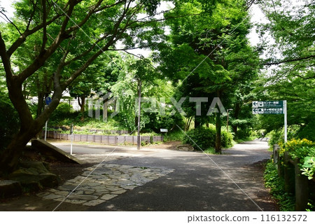 橫濱市都築區茅崎公園綠道石嶺步道、新綠及交通 橫濱市都築區茅崎公園綠道石嶺步道、新綠及交通 116132572