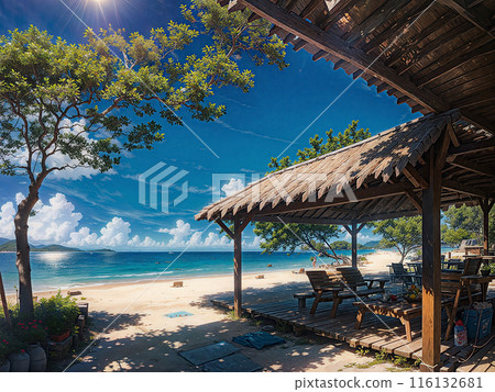 Summer beach 116132681