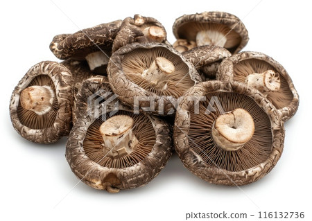 Overhead view of dried shiitake mushrooms on white background Overhead view of dried shiitake mushrooms on white background 116132736