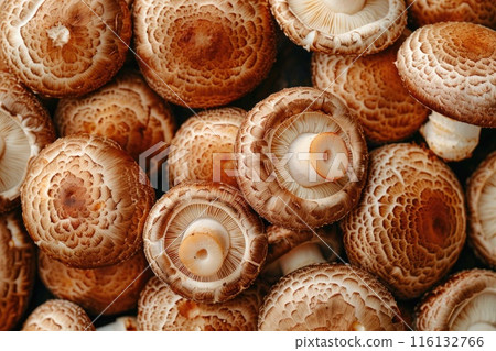 Pile of shiitake mushrooms close up 116132766