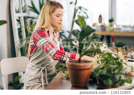 lady florist at her own floral shop taking care of flowers 116132805