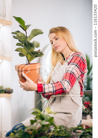 young woman florist at work young woman florist at work 116133420