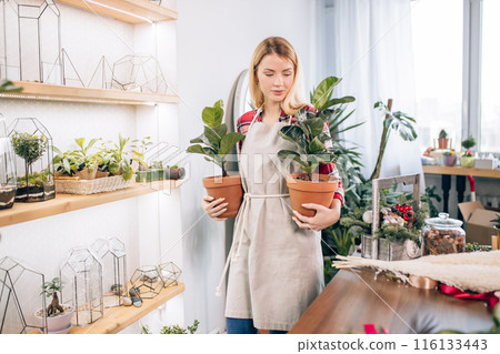 charming woman florist at work charming woman florist at work 116133443