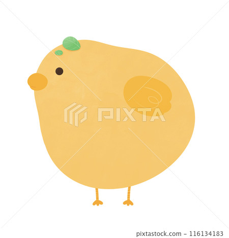 Chick Cartoon illustration Cute Yellow Chick Cartoon Animal Farm Cartoon 116134183