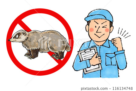 Male worker at a badger extermination company (no badger sign) 116134748