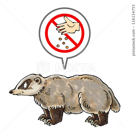 No feeding badgers sign No feeding badgers sign 116134755