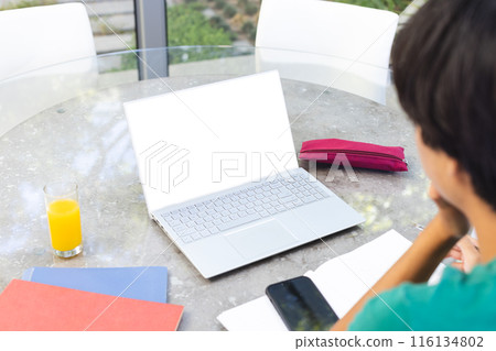 A teenage Asian boy sitting at a table outside at home, working on a laptop, copy space A teenage Asian boy sitting at a table outside at home, working on a laptop, copy space 116134802