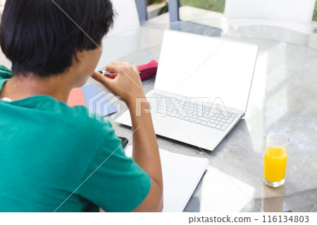 Teenage Asian boy sitting outside at home, focusing on laptop screen, copy space Teenage Asian boy sitting outside at home, focusing on laptop screen, copy space 116134803