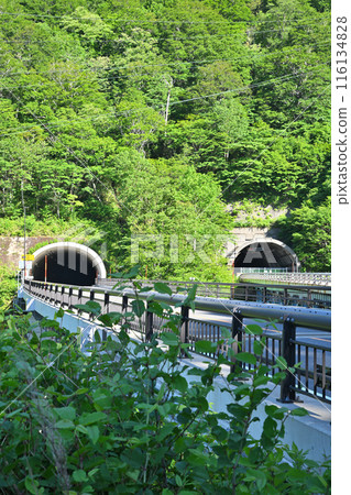 新三國隧道 國道17號 群馬縣一側 新綠季節 新三國隧道 國道17號 群馬縣一側 新綠季節 116134828