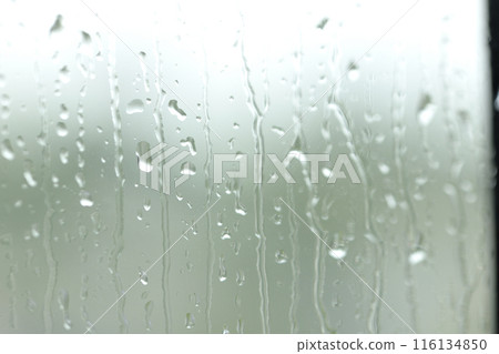 Raindrops on the window glass Raindrops on the window glass 116134850