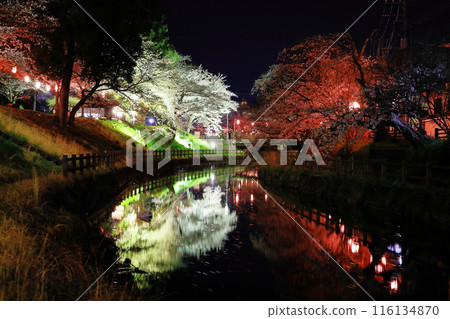 奇幻之美: 栃木縣真岡市 行屋川水邊公園的夜晚櫻花 栃木縣真岡市 貝野行屋川水邊公園的櫻花 奇幻之美: 栃木縣真岡市 行屋川水邊公園的夜晚櫻花 栃木縣真岡市 貝野行屋川水邊公園的櫻花 116134870