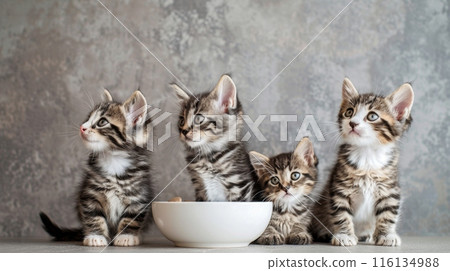 Cute Tabby Kittens Gazing Curiously Next to a Bowl 116134988