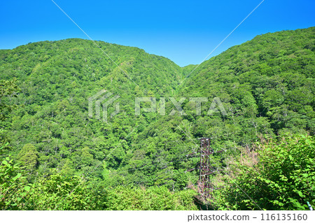 綠意盎然、國道17號線、三國隧道附近的山景 綠意盎然、國道17號線、三國隧道附近的山景 116135160