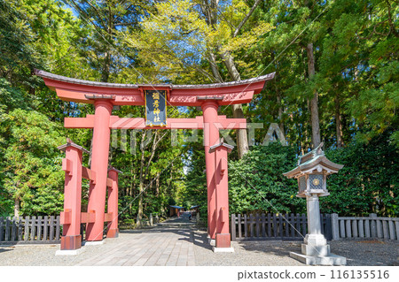 Echigo Ichinomiya Yahiko Shrine First Torii Gate The shrine building was once painted red, and as a remnant of that, the torii gate is also painted red, about 6m high Echigo Ichinomiya Yahiko Shrine First Torii Gate The shrine building was once painted red, and as a remnant of that, the torii gate is also painted red, about 6m high 116135516
