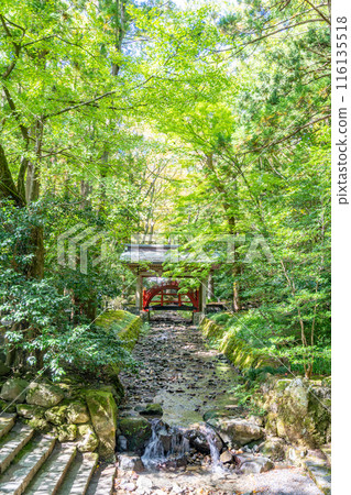 越後一宮彌彥神社 玉之橋 明治末期神社建築被燒毀之前，是參拜殿前的一座橋，供神靈通過。 116135518