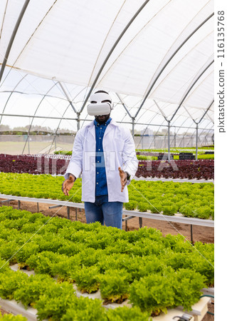 African American young male farm supervisor in VR headset at hydroponic farm in greenhouse 116135768