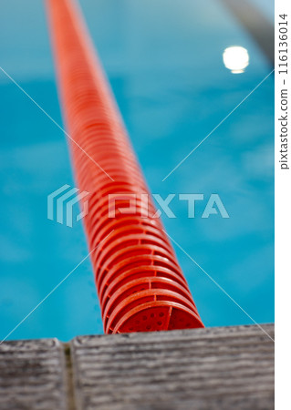 Red lane dividers stretching across a blue swimming pool indoors 116136014