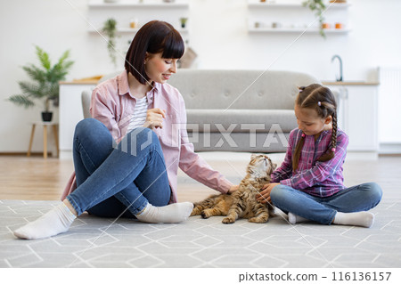 Mother and daughter at home playing with cat in living room Mother and daughter at home playing with cat in living room 116136157