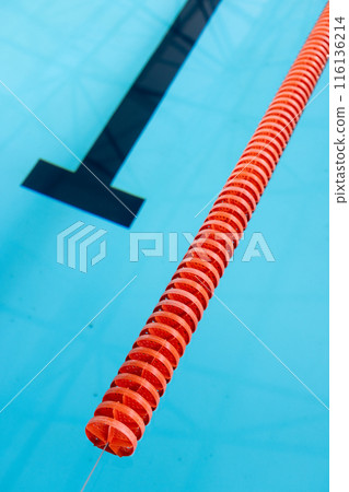 A red and white lane divider floats in an indoor blue swimming pool, copy space 116136214