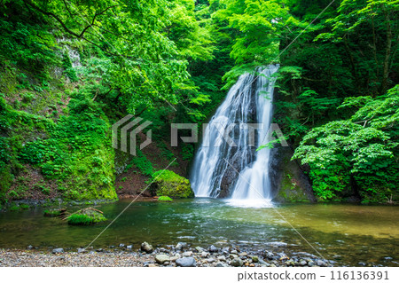 Garon Falls (Garon Falls) Garon Falls (Garon Falls) 116136391
