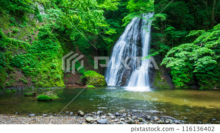 Garon Falls (Garon Falls) Garon Falls (Garon Falls) 116136402