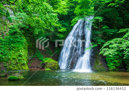 Garon Falls (Garon Falls) Garon Falls (Garon Falls) 116136432