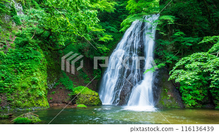 Garon Falls (Garon Falls) Garon Falls (Garon Falls) 116136439