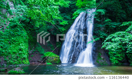 阿貢瀑布 (Agon Falls) 阿貢瀑布 (Agon Falls) 116136440