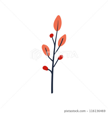 Folk plant. Simple leaves on a branch. Cartoon autumn botany. Minimalist style. Flat isolated vector illustration 116136469
