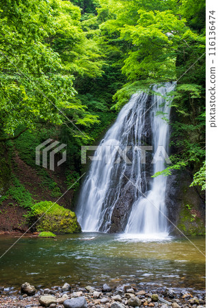 Garon Falls (Garon Falls) Garon Falls (Garon Falls) 116136474