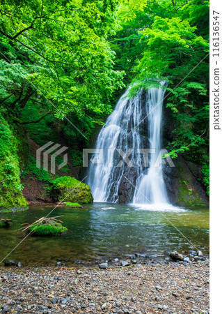 Garon Falls (Garon Falls) 116136547
