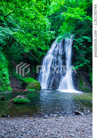 阿貢瀑布 (Agon Falls) 阿貢瀑布 (Agon Falls) 116136549