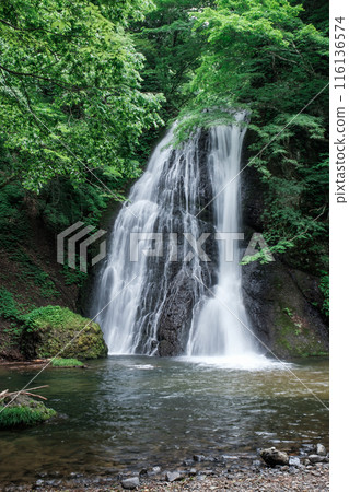 Garon Falls (Garon Falls) 116136574