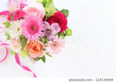 粉色非洲菊安排 116136994