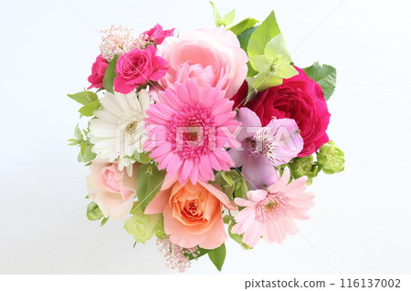 Pink gerbera arrangement Pink gerbera arrangement 116137002