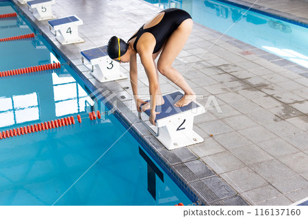 Young biracial female swimmer preparing to dive into an indoor pool Young biracial female swimmer preparing to dive into an indoor pool 116137160