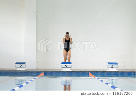 A biracial young female swimmer in black swimsuit preparing to dive indoors 116137203
