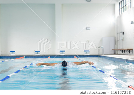 Biracial young female swimmer is training indoors in a pool, copy space Biracial young female swimmer is training indoors in a pool, copy space 116137238