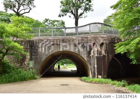 橫濱市都築區、綠道石嶺、Seseragi橋、新綠和Seseragi公園入口 橫濱市都築區、綠道石嶺、Seseragi橋、新綠和Seseragi公園入口 116137414