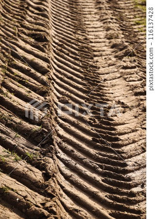 The dirt road is full of tire tracks The dirt road is full of tire tracks 116137428